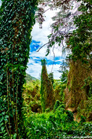 Visions of Paradise